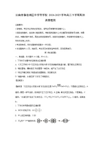云南省临沧地区中学等学校2024-2025学年高二下学期期末质量检测化学试卷（解析版）