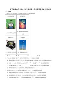 辽宁省鞍山市2024-2025学年高一下学期期末考试 化学试卷