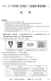 广东省“八校联盟”2026届高三上学期质量检测（一）化学试卷（PDF版附解析）