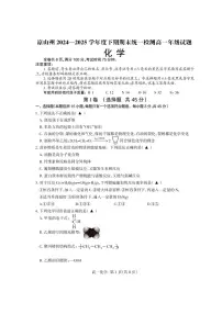 四川省凉山州2024-2025学年高一下学期期末考试化学试题（PDF版附答案）