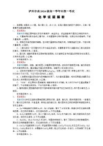 四川省泸州市2024-2025学年高一下学期期末统一考试化学试题（含答案解析）