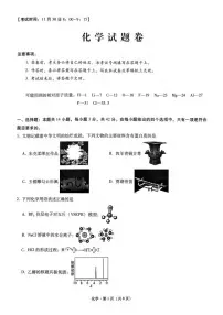 重庆市第一中学校2024-2025学年高三上学期11月半期（期中）考试化学试题