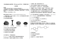 河北省秦皇岛市山海关第一中学2024-2025学年高二下学期期中考试化学试题