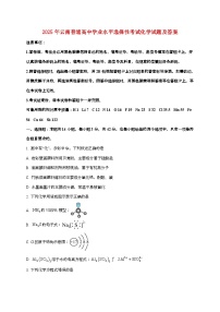 2025年云南普通高中学业水平选择性考试化学试卷（原卷+答案）
