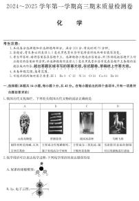 山西省三晋卓越联盟2025届高三上学期期末质量检测卷化学试卷+答案(1)