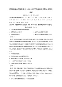 四川省眉山市校校联考2024-2025学年高二下学期6月期末考试化学试题（解析版）