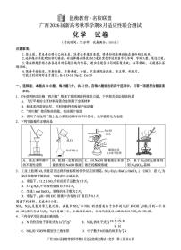 广西南宁名校联盟2026届高三上学期8月适应性训练化学试题（含答案）