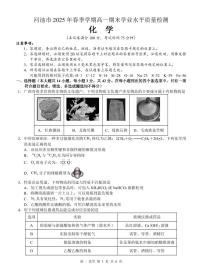 广西河池市2024-2025学年高一下学期7月期末化学试题（含解析）