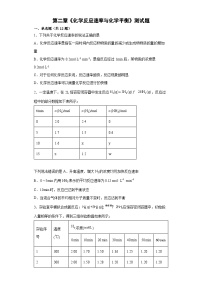 高中化学人教版 (2019)选择性必修1化学反应速率当堂达标检测题