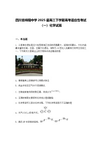 四川省绵阳中学2025届高三下学期高考适应性考试（一）化学试题（含答案解析）