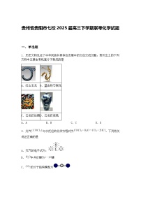 贵州省贵阳市七校2025届高三下学期联考化学试题（含答案解析）