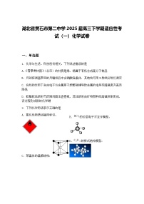 湖北省黄石市第二中学2025届高三下学期适应性考试（一）化学试卷（含答案解析）