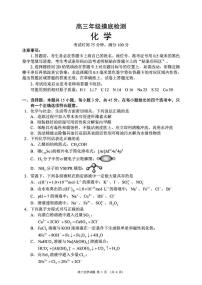 成都蓉城名校联盟2026届高三上学期开学联考化学试题（含答案）