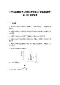 2025届湖北省黄石市第二中学高三下学期适应性考试（二）化学试卷（含答案解析）