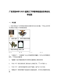 广东实验中学2025届高三下学期考前适应性考试化学试题（含答案解析）