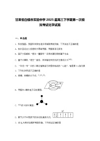 甘肃省白银市实验中学2025届高三下学期第一次模拟考试化学试题（含答案解析）