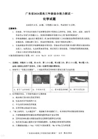 广东省2026届高三上学期综合能力测试一化学试卷（含答案）