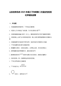 山东省青岛市2025年高三下年级第二次适应性检测化学模拟试卷（含答案解析）