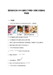 四川省内江市2025届高三下学期4月第三次模拟化学试题（含答案解析）