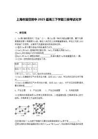 上海市复旦附中2025届高三下学期三模考试化学（含答案解析）