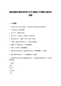 湖北省部分高中协作体2025届高三下学期三模化学试题（含答案解析）