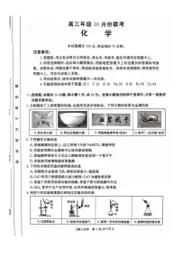2025届河北省高三下学期10月考-化学试题（含答案）