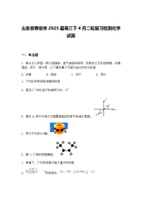 山东省泰安市2025届高三下4月二轮复习检测化学试题（含答案解析）