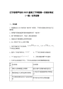 辽宁省葫芦岛市2025届高三下学期第一次模拟考试（一模）化学试卷（含答案解析）