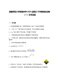 湖南师范大学附属中学2025届高三下学期模拟试卷（一）化学试题（含答案解析）