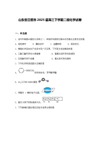 山东省日照市2025届高三下学期二模化学试卷（含答案解析）