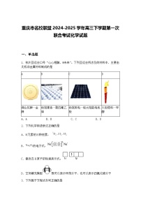 重庆市名校联盟2024-2025学年高三下学期第一次联合考试化学试题（含答案解析）
