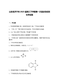 山东省济宁市2025届高三下学期第一次适应性检测化学试题（含答案解析）
