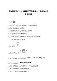 山东省青岛市2025届高三下学期第一次适应性检测化学试题（含答案解析）