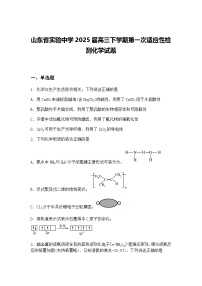 山东省实验中学2025届高三下学期第一次适应性检测化学试题（含答案解析）