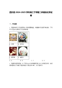 四川省2024-2025学年高三下学期二诊模拟化学试卷（含答案解析）