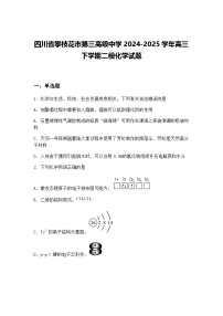 四川省攀枝花市第三高级中学2024-2025学年高三下学期二模化学试题（含答案解析）