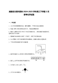 湖南省沅澧共同体2024-2025学年高三下学期2月联考化学试题（含答案解析）