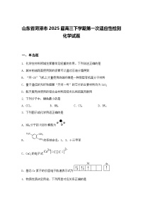 山东省菏泽市2025届高三下学期第一次适应性检测化学试题（含答案解析）