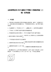 山东省枣庄市2025届高三下学期3月模拟考试（二调）化学试题（含答案解析）