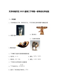 天津市南开区2025届高三下学期一模考试化学试题（含答案解析）