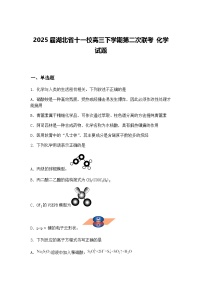 2025届湖北省十一校高三下学期第二次联考 化学试题（含答案解析）