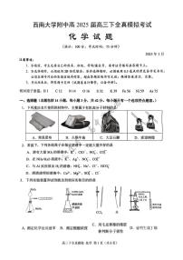 2025届重庆市西南大学附属中学高三下学期5月全镇模拟化学试题（含答案）
