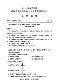 2026届湖北武汉高三年级上学期开学九月调研考试化学试题+答案