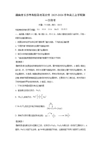 湖南省长沙市名校联考联合体2025-2026学年高二上学期第一次联考化学试卷（解析版）