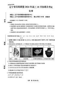 2025届辽宁省名校联盟高三10月份联合考试化学试题+答案