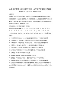 山东省济南市2024-2025学年高一上学期学情检测化学化学试卷