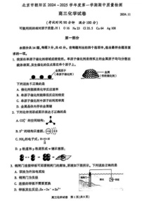 2025届北京市朝阳区高三下学期11月期中质量检测-化学试卷（含答案）