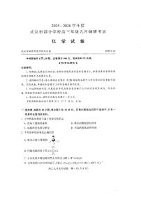 湖北省武汉市部分学校2026届高三上学期九月调研考试化学含答案解析