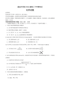 四川省内江市威远中学校2024-2025学年高二下学期期中考试化学试题（含答案）
