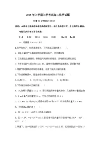 湖南省邵阳市邵阳县第二高级中学2024-2025学年高二下学期入学考化学试卷